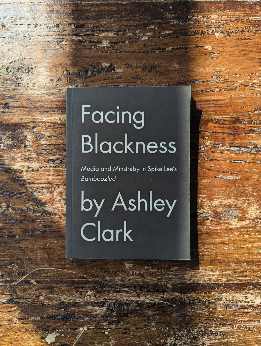 Facing Blackness: Media and Minstrelsy in Spike Lee's Bamboozled by Ashley Clark