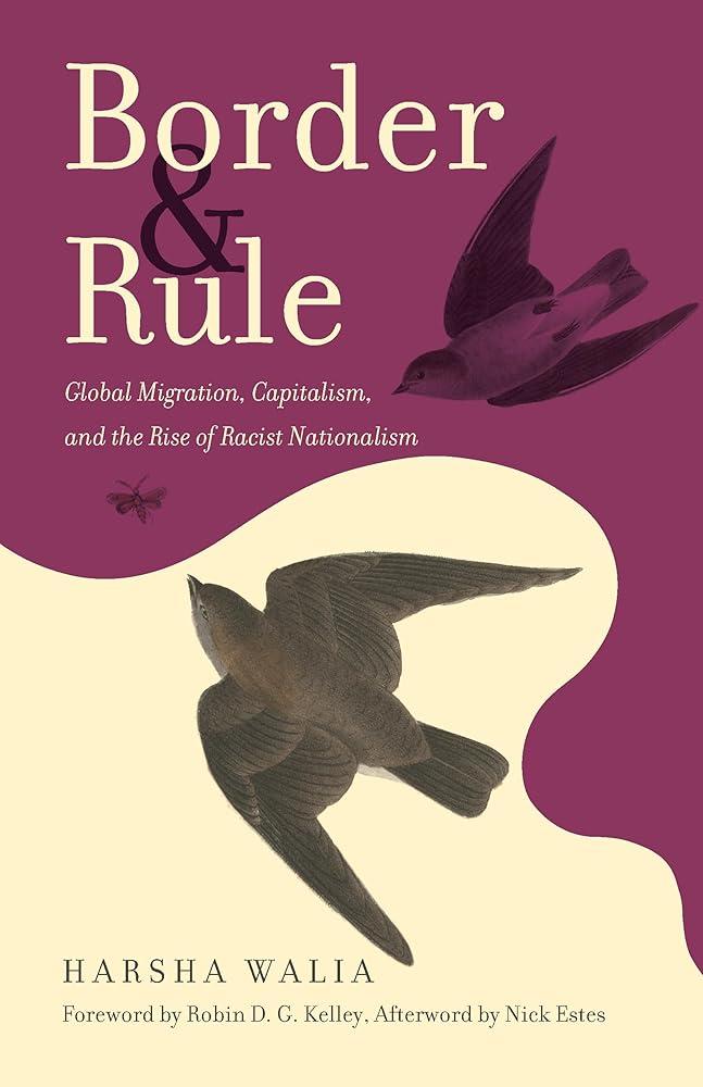 Border and Rule: Global Migration, Capitalism, and the Rise of Racist Nationalism cover image