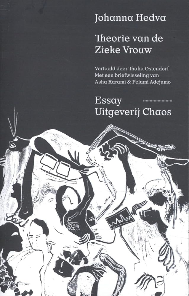 Theorie van de Zieke Vrouw cover image