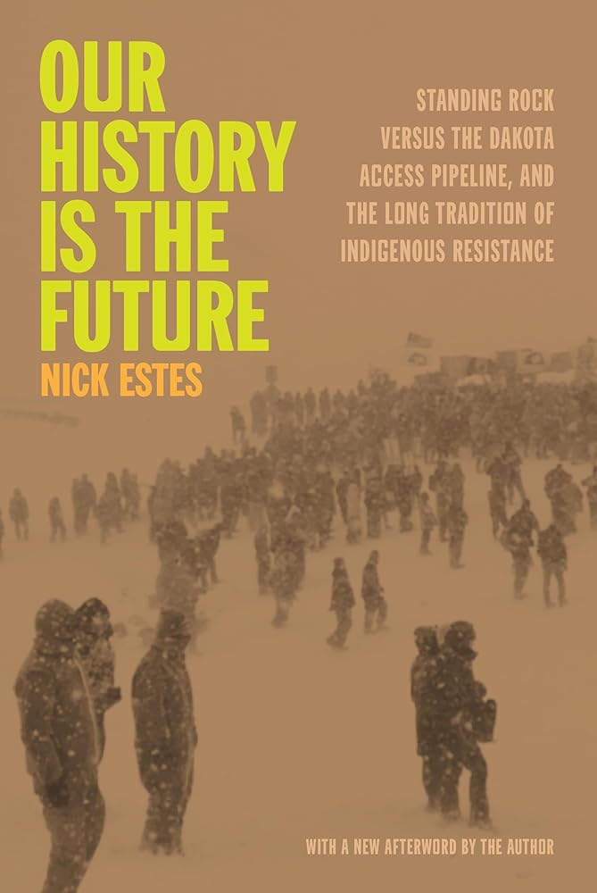 Our History Is the Future: Standing Rock Versus the Dakota Access Pipeline, and the Long Tradition of Indigenous Resistance cover image