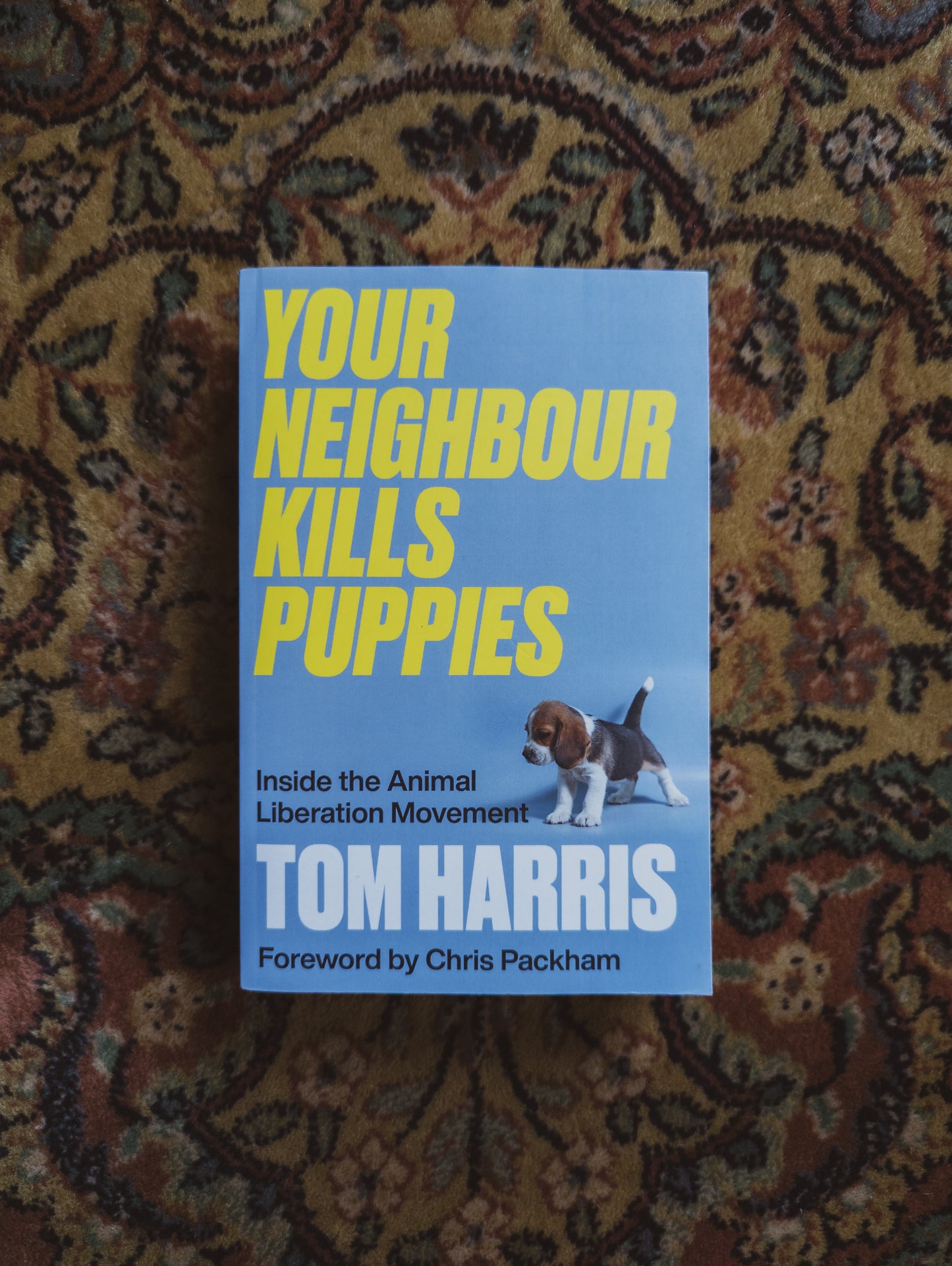 Your Neighbour Kills Puppies: Inside the Animal Liberation Movement