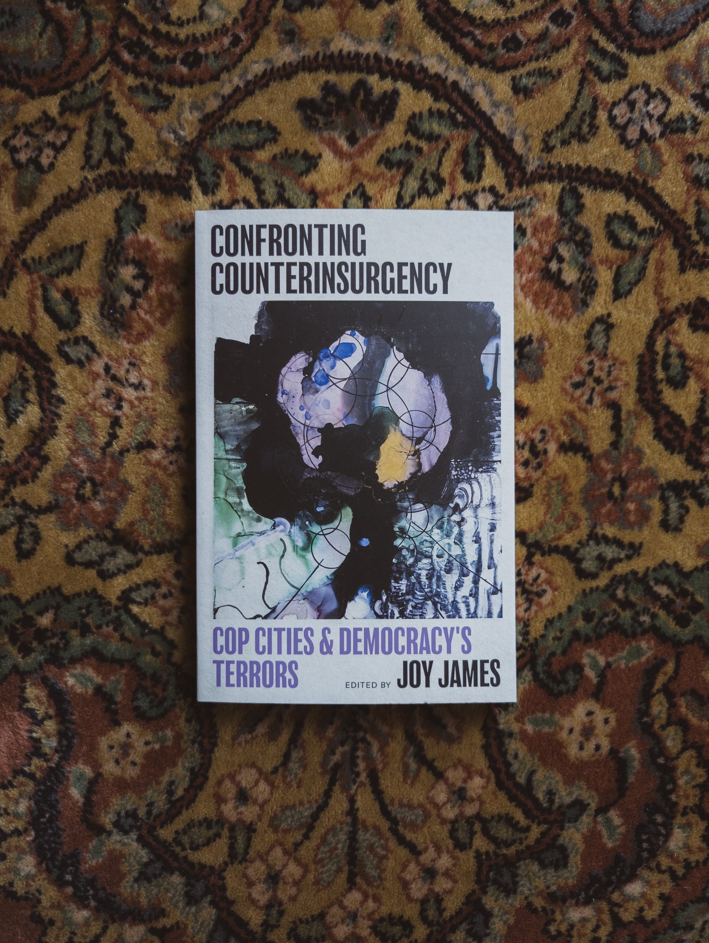 Confronting Counterinsurgency: Cop Cities and Democracy's Terrors