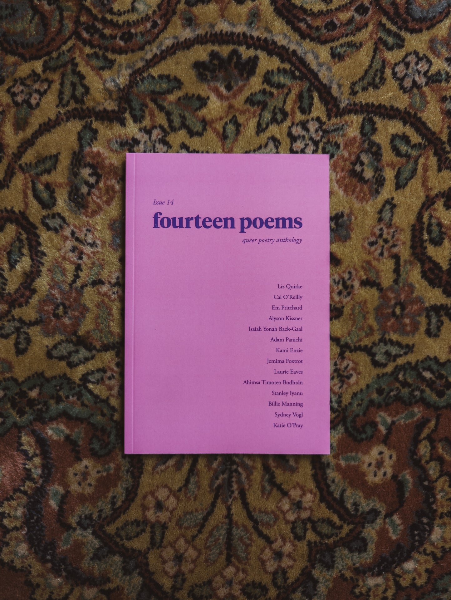 fourteen poems issue 14: a queer poetry anthology