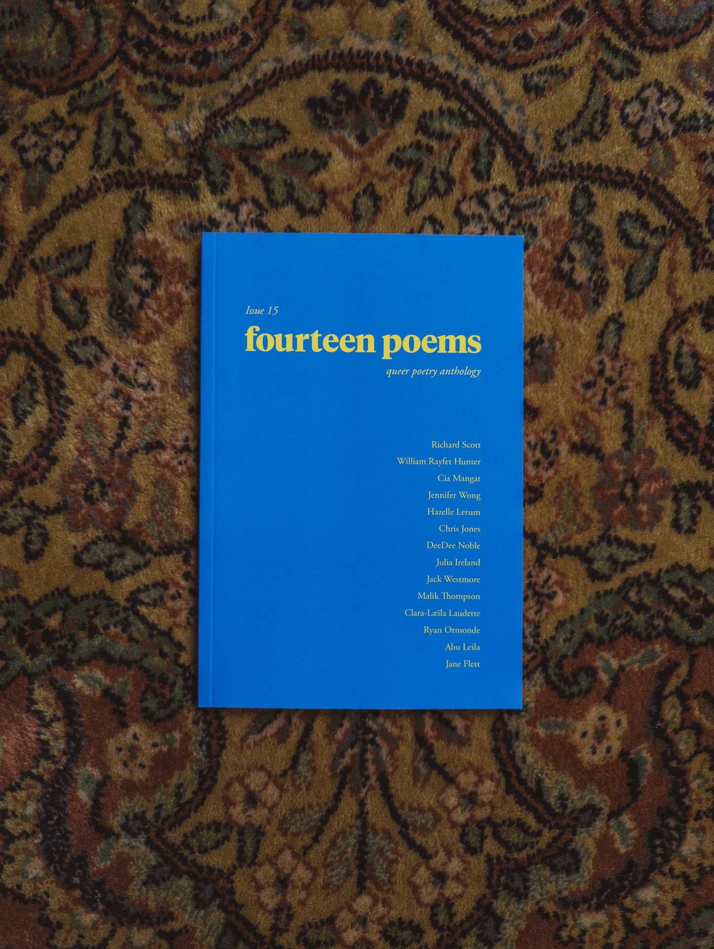 fourteen poems Issue 15: a queer poetry anthology