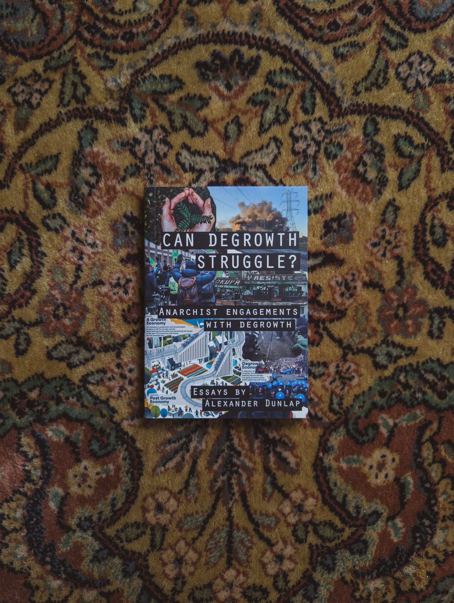 Can Degrowth Struggle? Anarchist Engagements with Degrowth