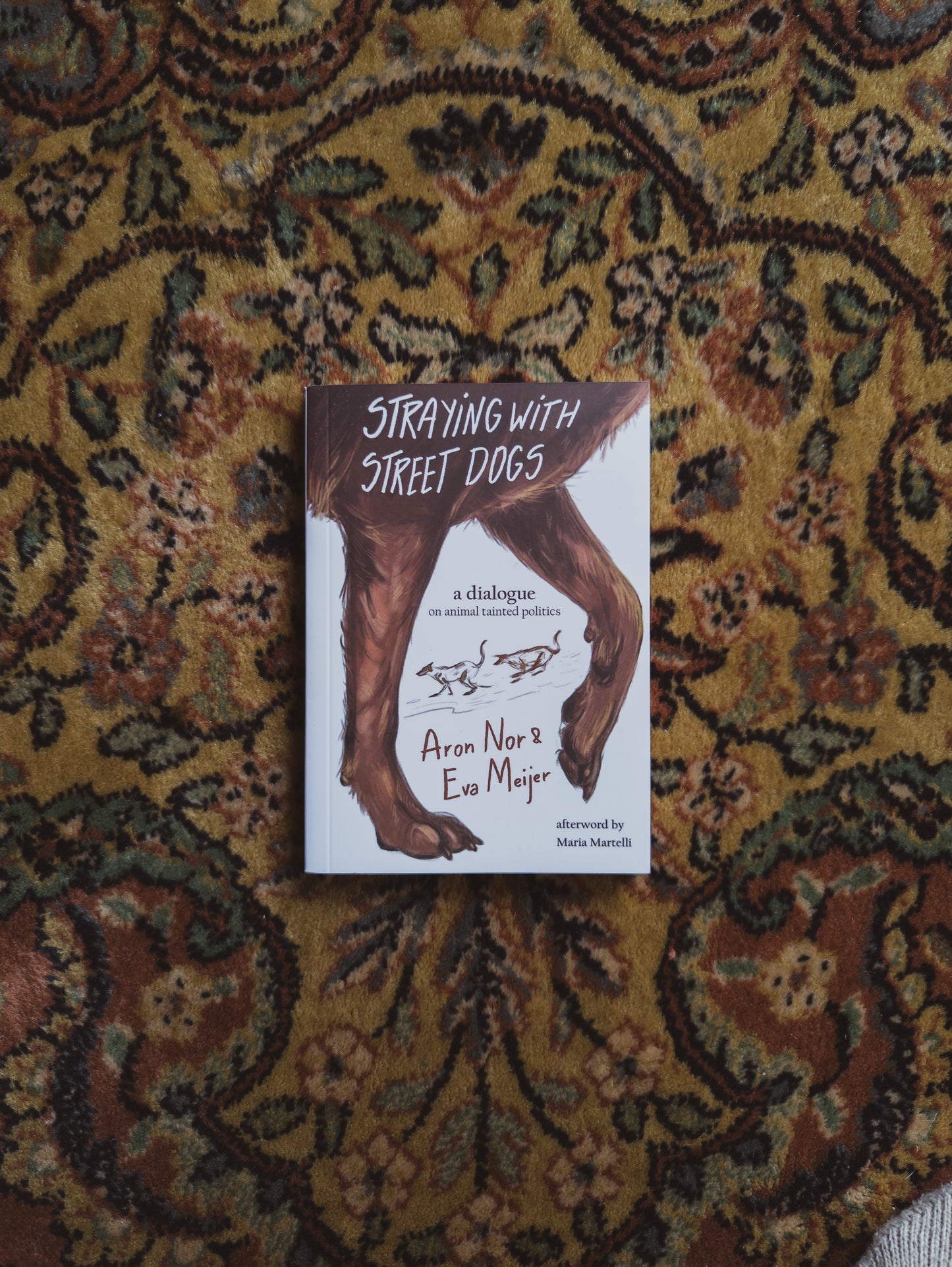 Straying with the Street Dogs