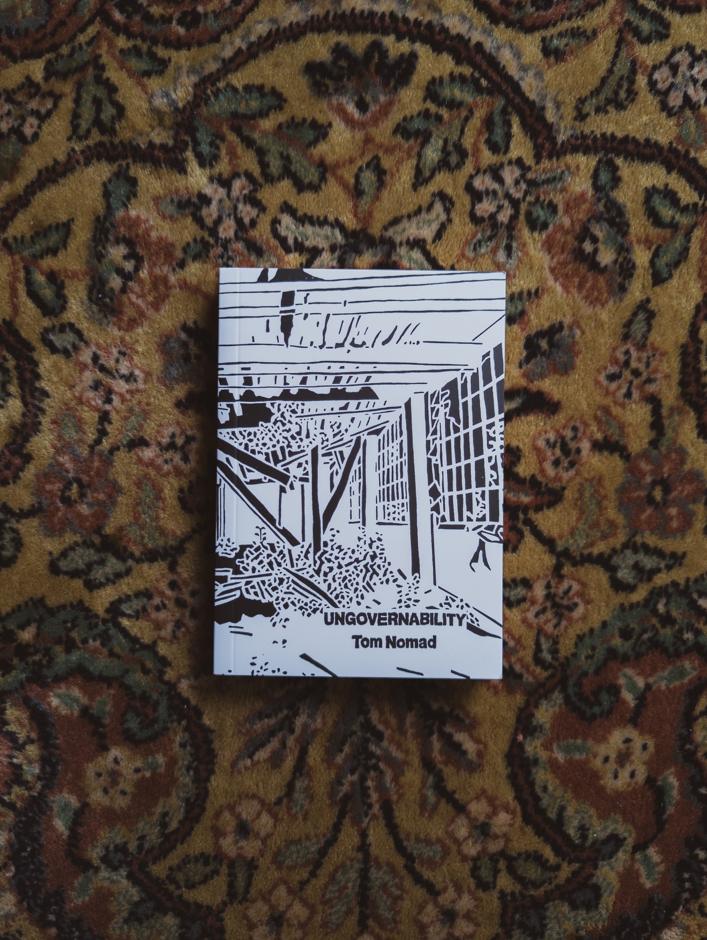 Ungovernability: Reflections on the Failures of Revolution