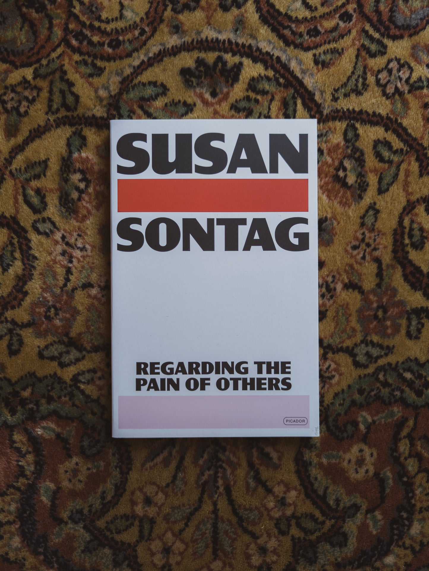 Regarding the Pain of Others