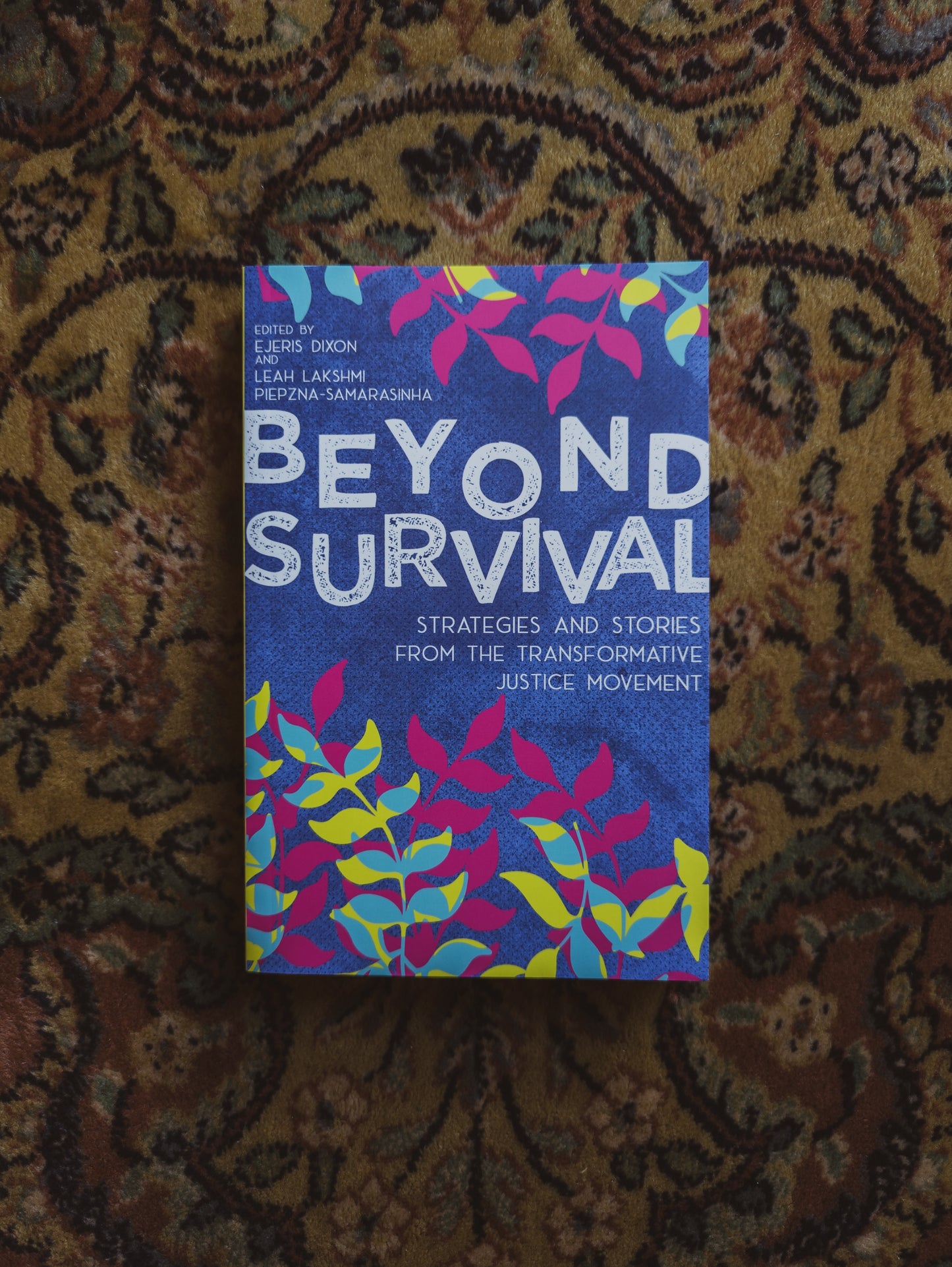 Beyond Survival: Strategies and Stories from the Transformative Justice Movement