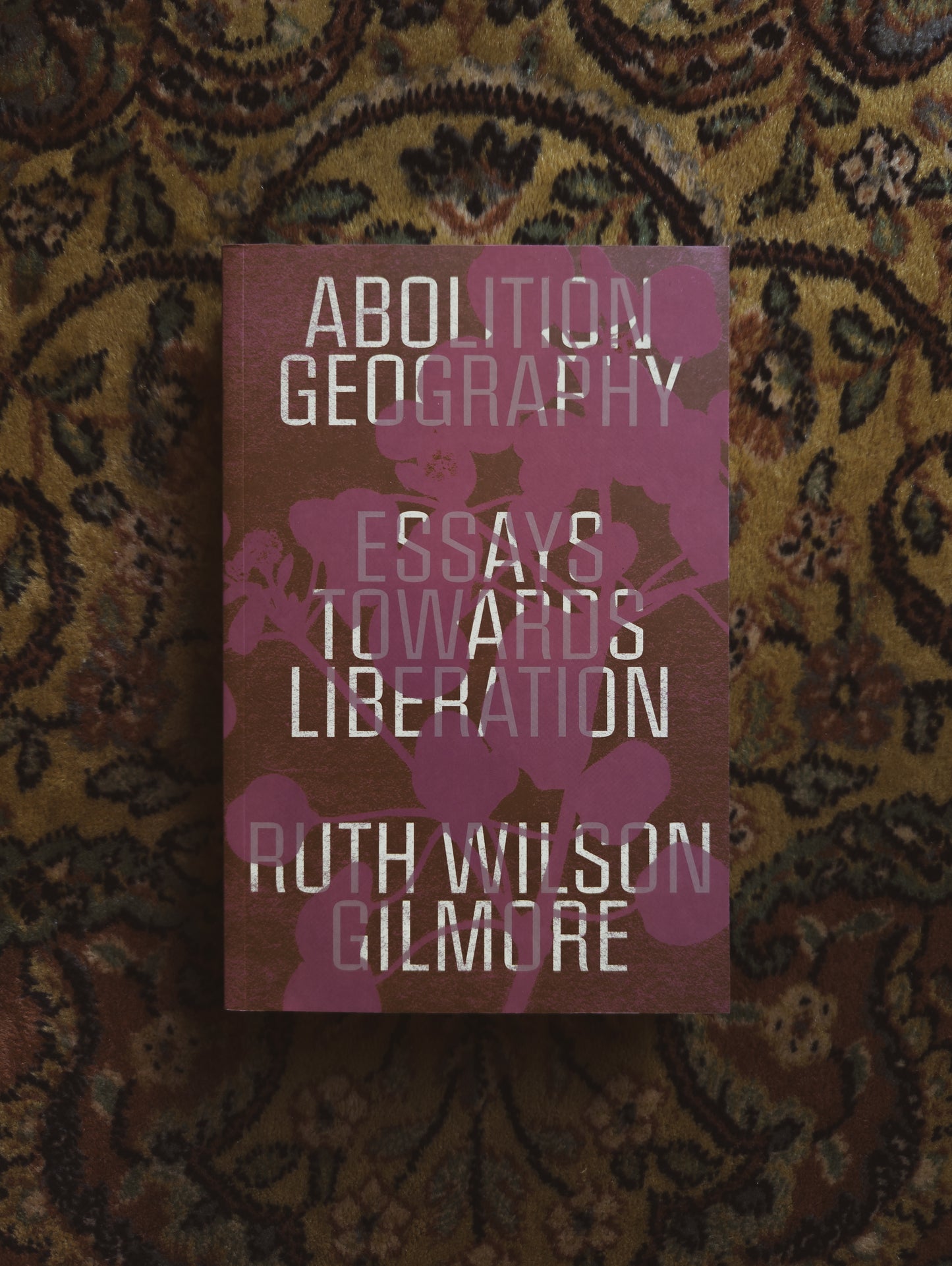 Abolition Geography: Essays Towards Liberation