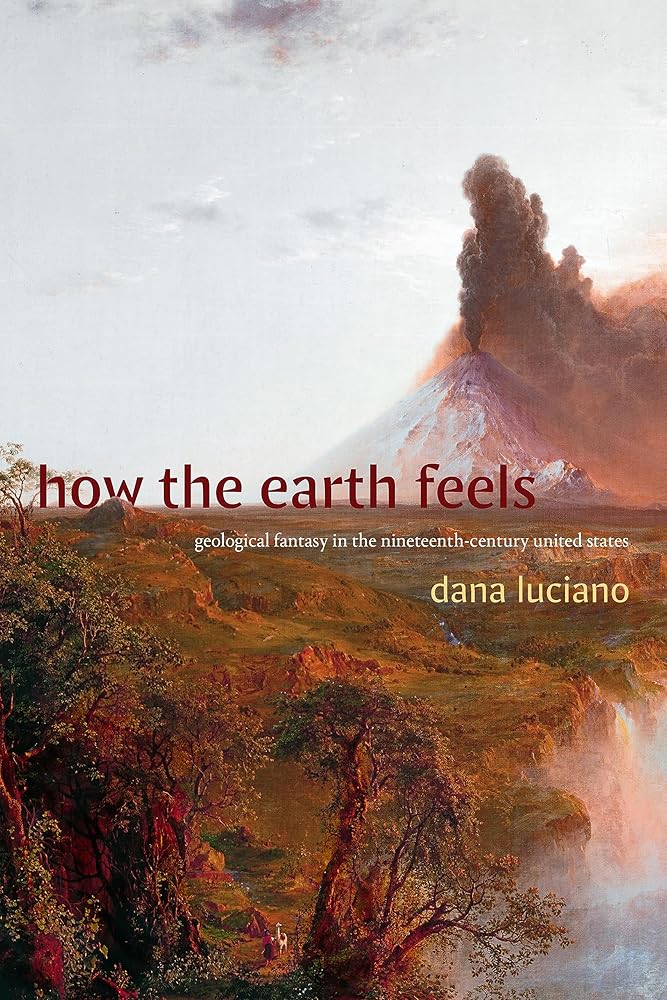 How the Earth Feels: Geological Fantasy in the Nineteenth-Century United States (ANIMA: Critical Race Studies Otherwise) cover image