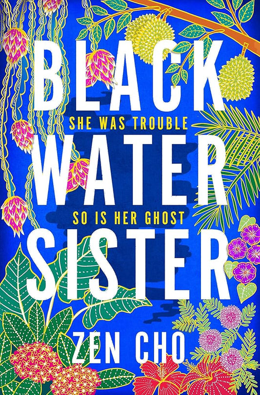 Black Water Sister cover image