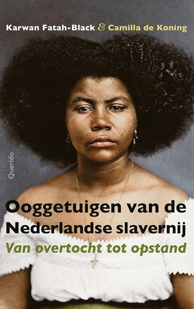 Ooggetuigen van de Nederlandse slavernij: Van overtocht tot opstand cover image