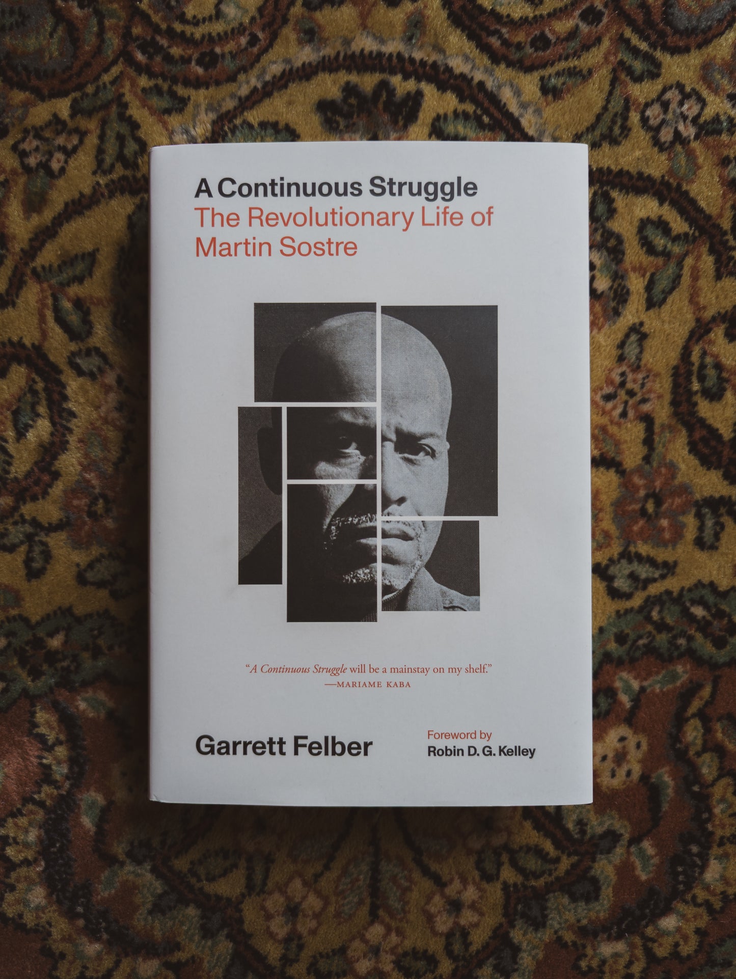 A Continuous Struggle: The Revolutionary Life of Martin Sostre