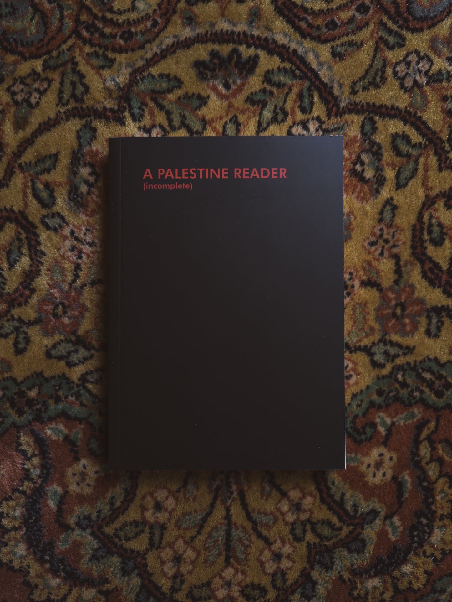 A Palestine Reader (incomplete)
