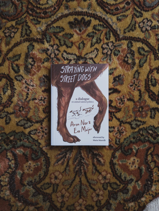 Straying with the Street Dogs