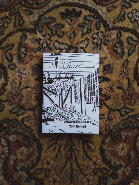 Ungovernability: Reflections on the Failures of Revolution