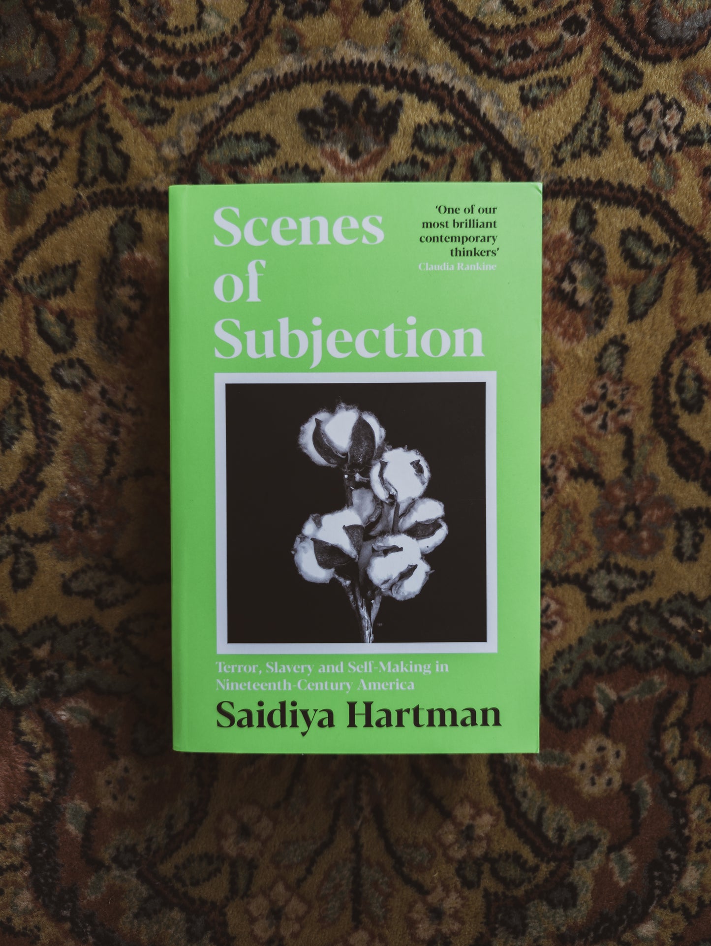 Scenes of Subjection: Terror, Slavery and Self-Making in Nineteenth Century America