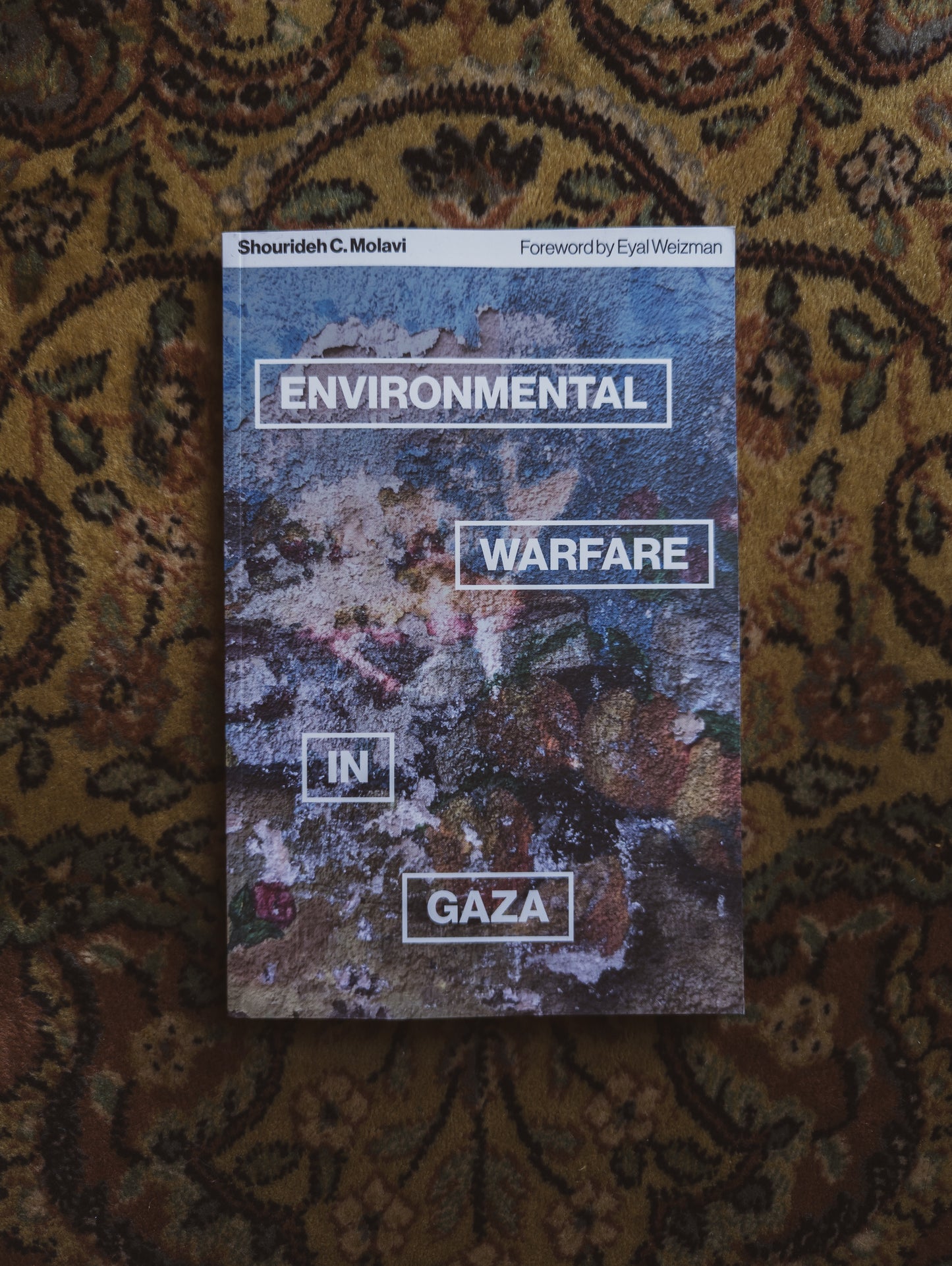 Environmental Warfare in Gaza: Colonial Violence and New Landscapes of Resistance