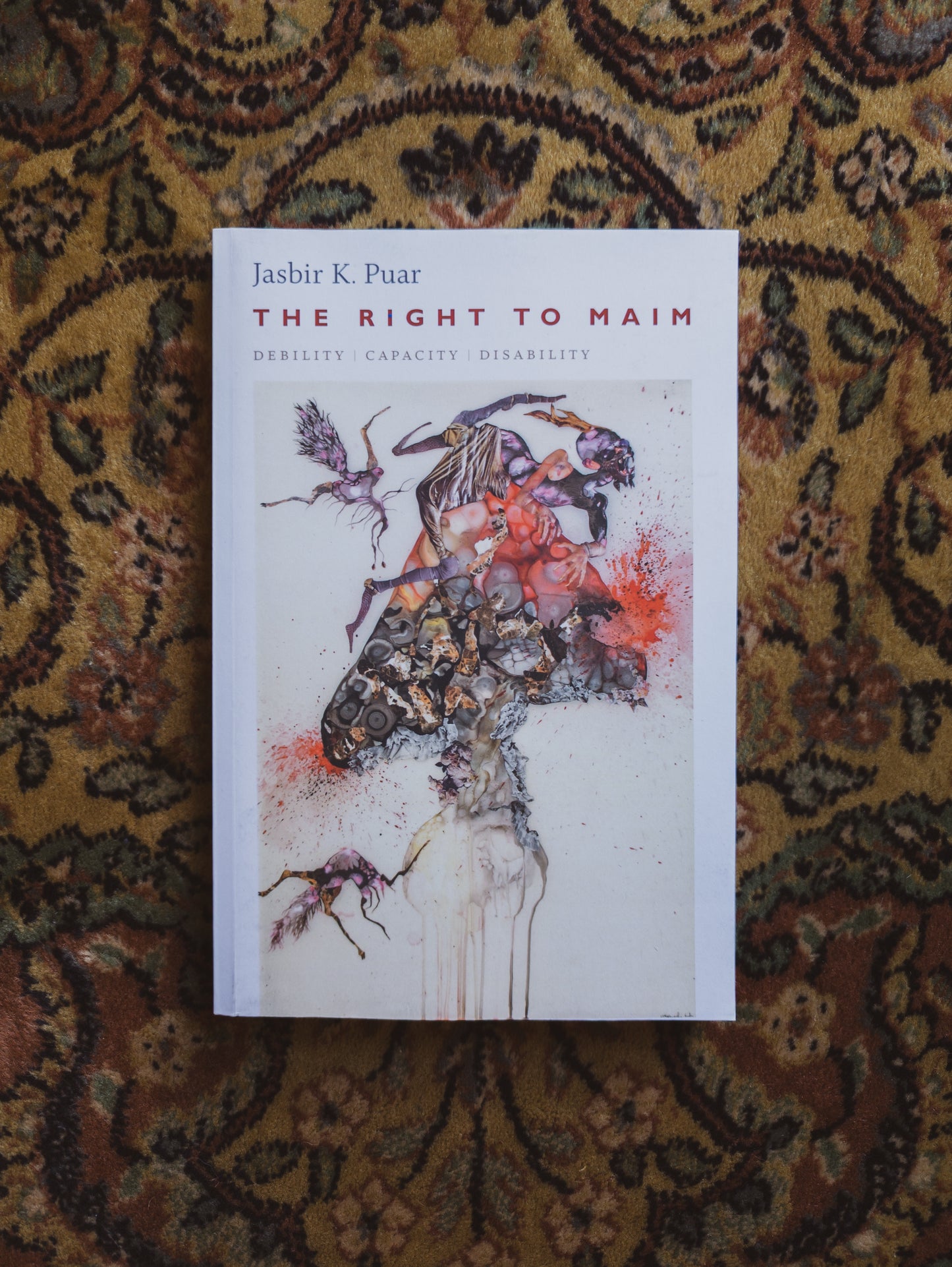 The Right to Maim: Debility, Capacity, Disability