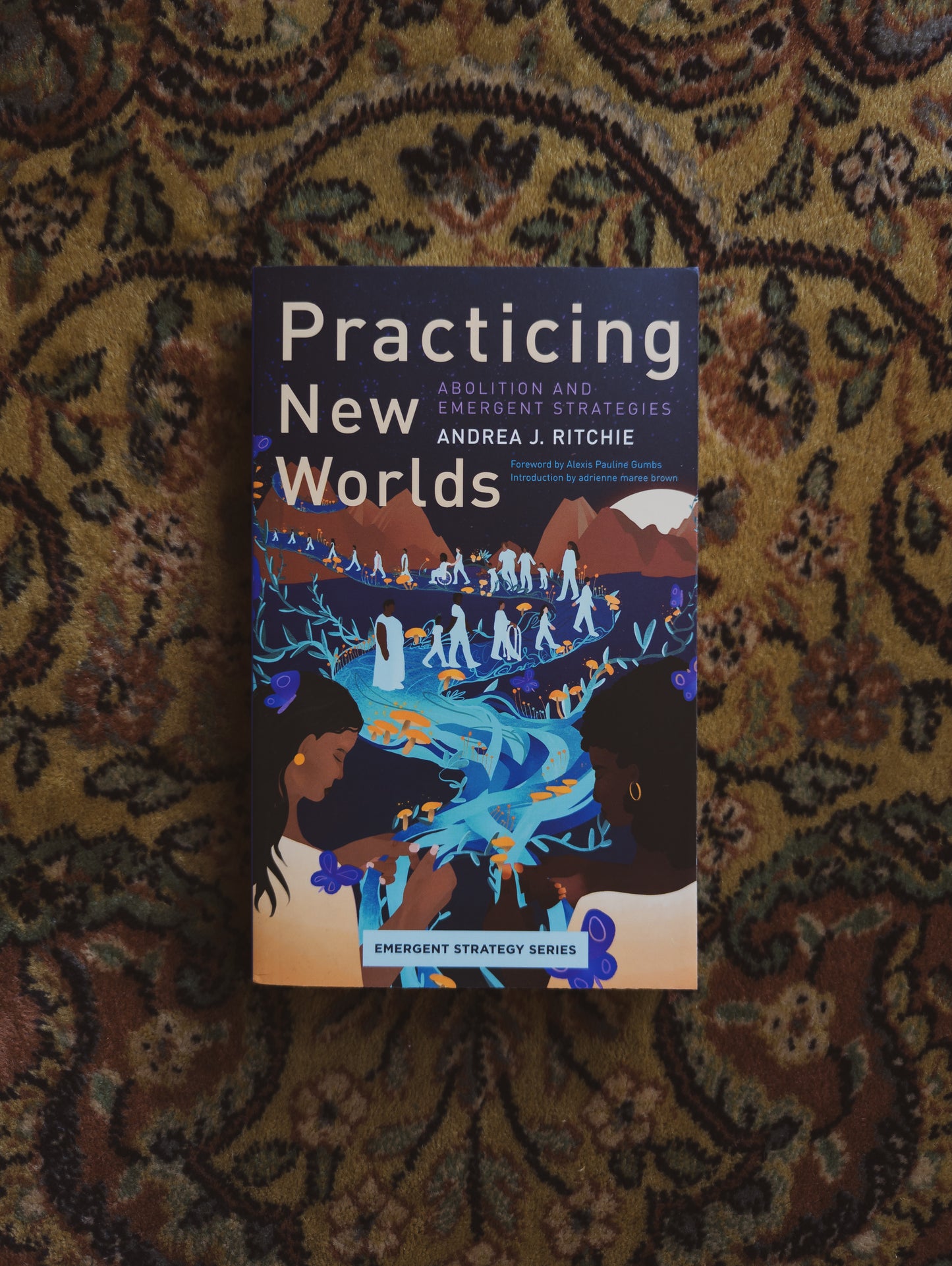 Practicing New Worlds: Abolition and Emergent Strategies