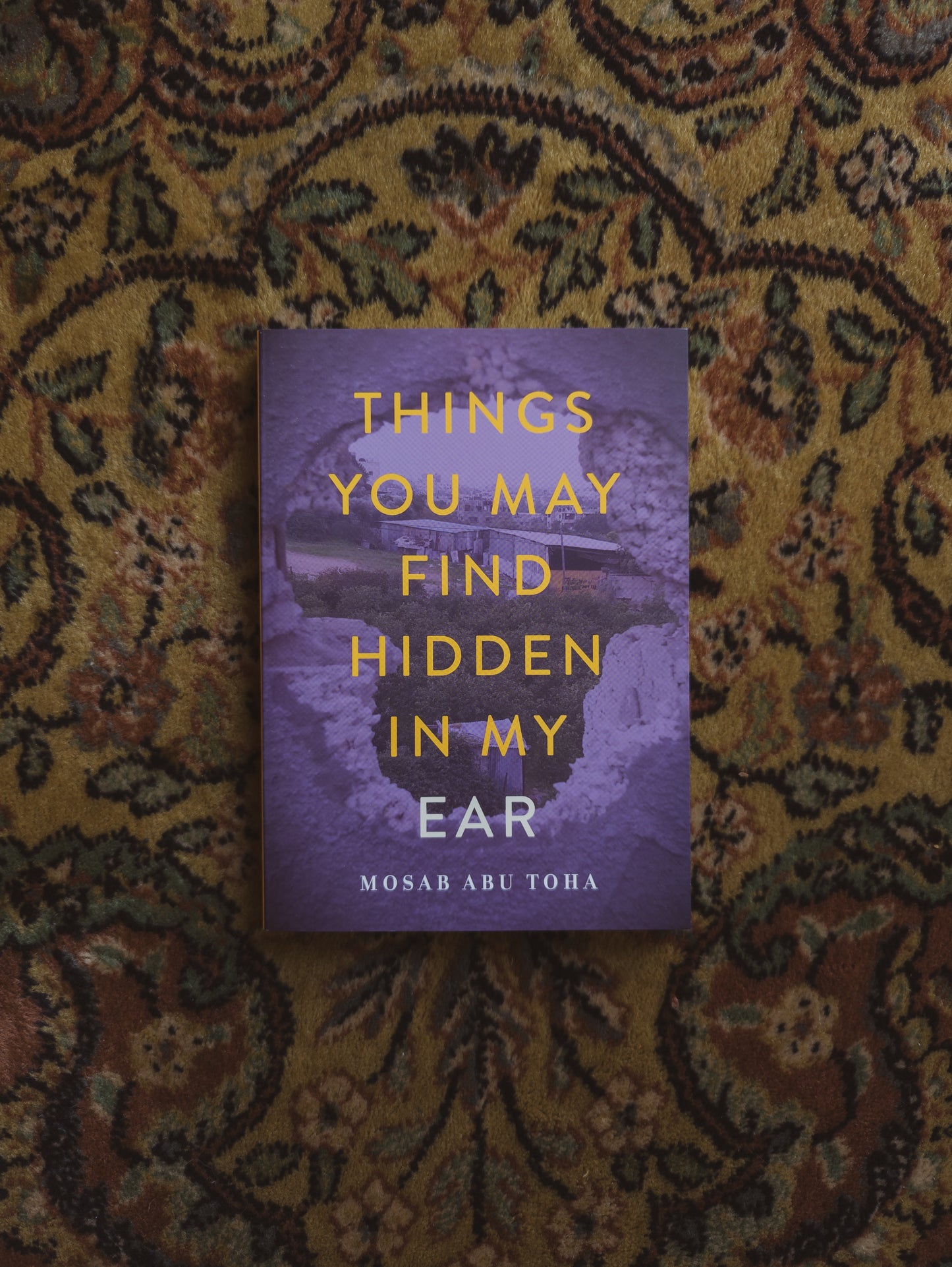 Things You May Find Hidden in My Ear: Poems from Gaza