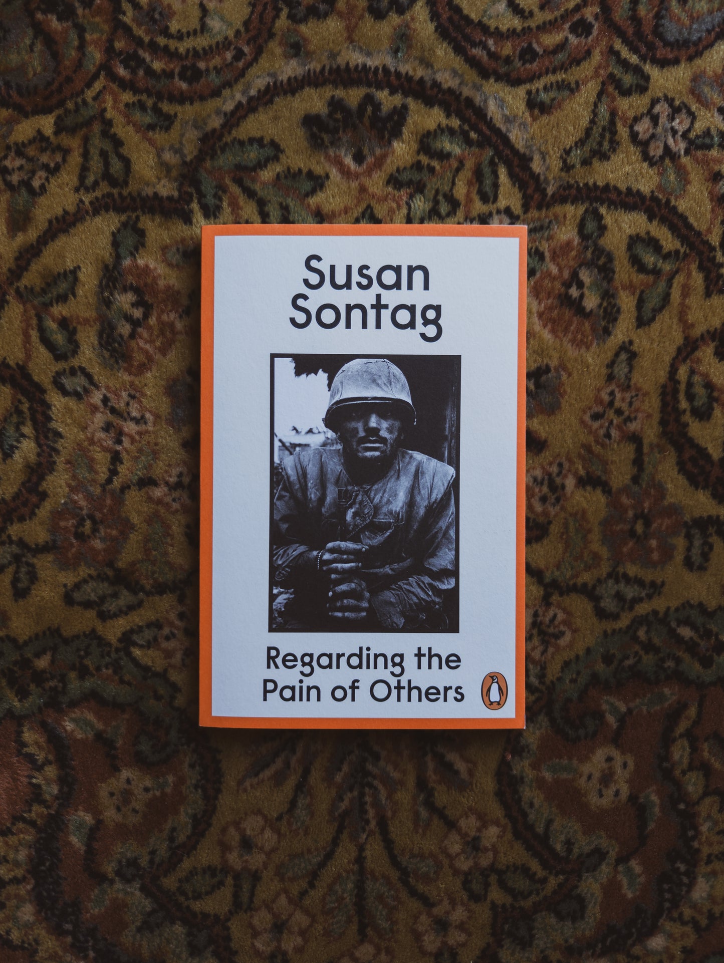 Regarding the Pain of Others